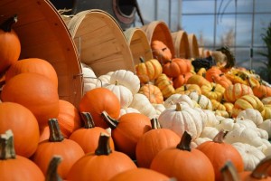 Boston Metro Oct Events